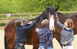 Learn about yourself through equine experiences with Hush Farms in East Devon.